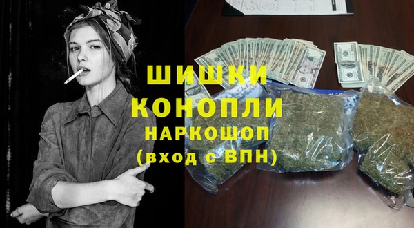 PSILOCYBIN Костерёво