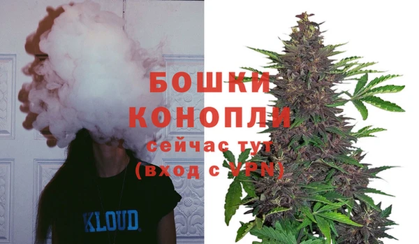 PSILOCYBIN Костерёво