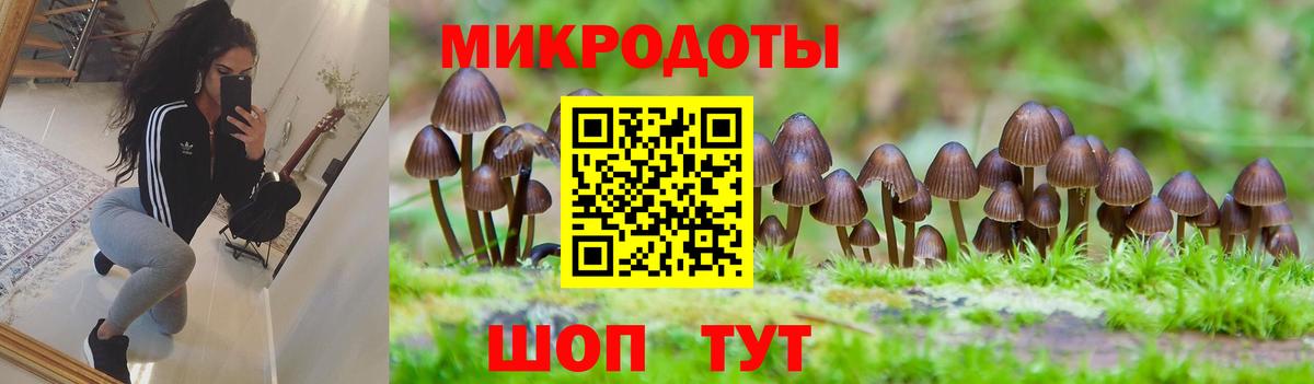 Галлюциногенные грибы Psilocybine cubensis  как найти наркотики  Краснотурьинск  Галлюциногенные грибы ЛСД  Вход с VPN 